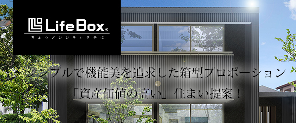 lifebox