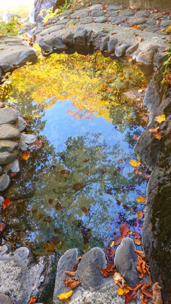 ゆざわジオパーク、紅葉、秘湯を守る会、露天風呂、秋ノ宮温泉峡