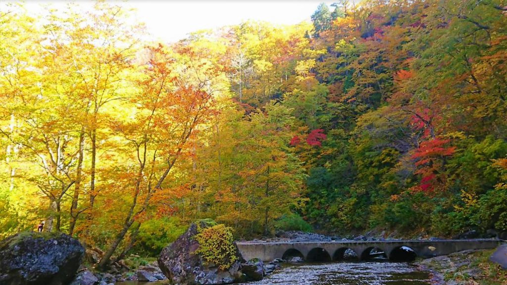 ゆざわジオパーク、秋ノ宮温泉峡、秘湯、紅葉